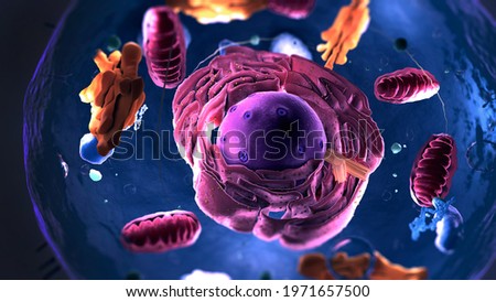 Subunits inside eukaryotic cell, nucleus and organelles and plasma membrane - 3d illustration Foto stock © 