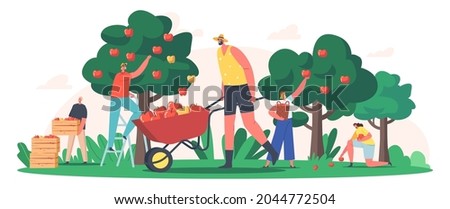 Characters Harvesting Apples in Garden or Orchard, Gardeners Collecting Fruit Crop, Ecological Healthy Farm Production. Seasonal Work, Agriculture, Autumn Harvest. Cartoon People Vector Illustration