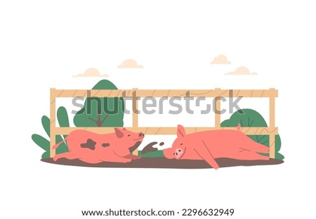 Pigs Relaxing In Mud Enjoying Their Natural Habitat, These Intelligent Animals Use Mud To Cool Off And Protect Skin