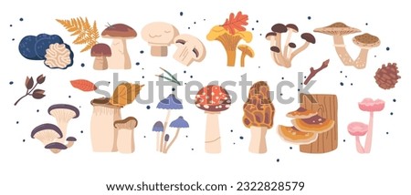 Similar – Image, Stock Photo Mushroom growing on tree trunk