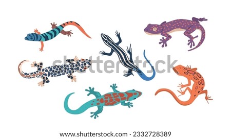 Exotic Lizards Set, Fascinating Reptiles With Unique Patterns And Colors. They Captivate With Their Intricate Scales