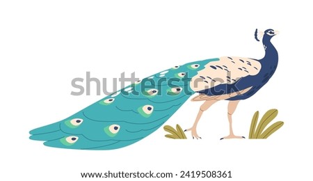 Peacock Is A Striking Bird Known For Its Vibrant Plumage And Distinctive Iridescent Tail Feathers, Vector Illustration