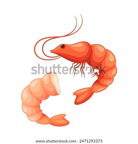 Whole Shrimp And A Peeled Shrimp Isolated On White Background. Cartoon Vector Illustration Of Prawns For Seafood Menus