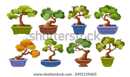 Set Of Bonsai Trees In Decorative Pots, Showcasing Different Shapes And Styles. Each Bonsai Tree Is Uniquely Styled