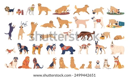 Cartoon Vector Collection Of Various Dog Breeds In Different Poses And Costumes. Playing, Barking, Working Dogs