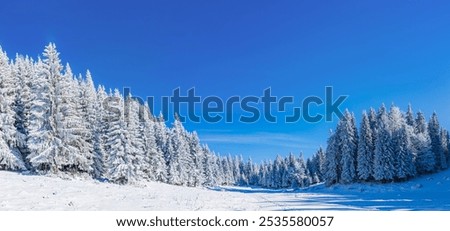 Similar – Image, Stock Photo Beautiful winter forest with snowy trees, aerial view