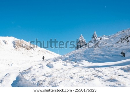 Similar – Image, Stock Photo Lonely hiker on frozen lake