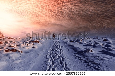 Image, Stock Photo Lonely hiker on frozen lake