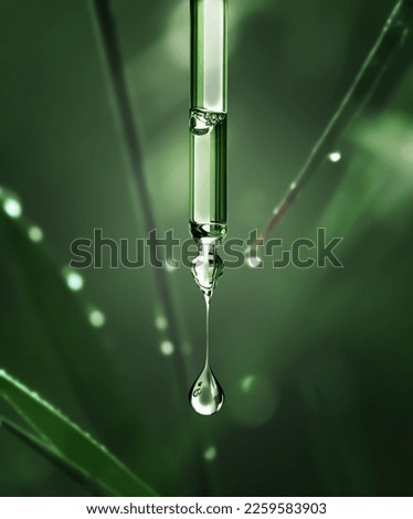 Foto Bild Kosmetikflasche aus grünem Glas mit Pipette auf weißem Hintergrund mit grünen Palmenblättern.