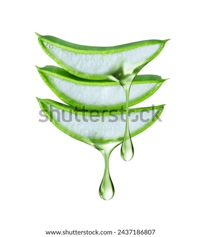 Similar – Image, Stock Photo Three leaves and drops all around