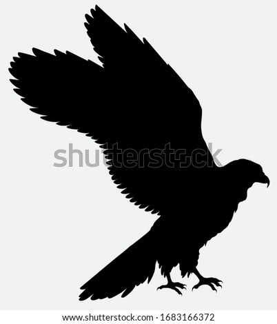 Black silhouette of a falcon with outstretched wings. Vector outline hawk preparing to take off. Image of a bird of prey.