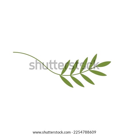 Palm Sunday illustration with olive branch. Vector isolated.