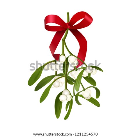 christmas mistletoe cartoon mistletoe clipart png stunning free transparent png clipart images free download flyclipart