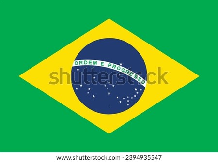 Brazil flag High Resolution Vector Illustration 