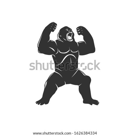 Gorilla isolated on white. Vector illustration.