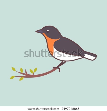 Cute simple murai batu bird mascot illustration. White rumped shama bird.