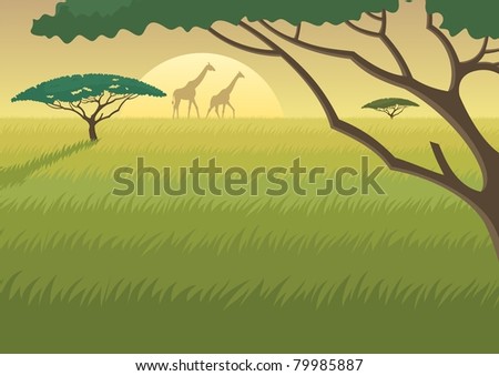 Africa Landscape\