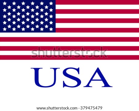 United States of America (USA) flag vector