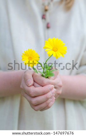 Female hands holding soil with yellow flower