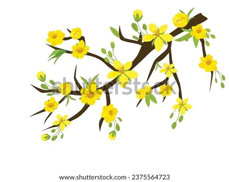 Ochna integerrima  tree branch vector. Ochna flower clip art. Vietnam traditional Tet flower vector, hoa mai. Apricot blossom. Flat vector in cartoon style isolated on white back ground