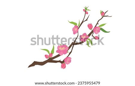 Cartoon peach blossom vector set with flower, leaf, bud, tree branch. Cherry blossom vector. Spring flower.Tet flower. Vietnam traditional new year flower, hoa dao. Flat vector in cartoon style.