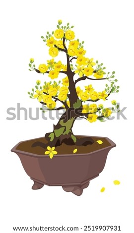 Ochna integerrima vector. Ochna flower tree clip art. Vietnam traditional new year flower clipart, hoa mai. Tet flower. Apricot blossom. Flat vector in cartoon style isolated on white background.