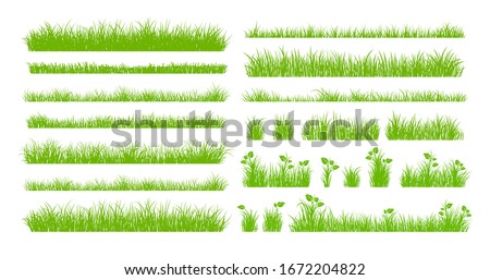 Set of Green Grass Isolated on White Background.  商業照片 © 