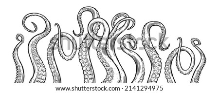 Octopus tentacles reaching upwards, squid-like marine animal body parts protruding from out of frame, cut for food or frame design, cartoon sketch vector illustration. 