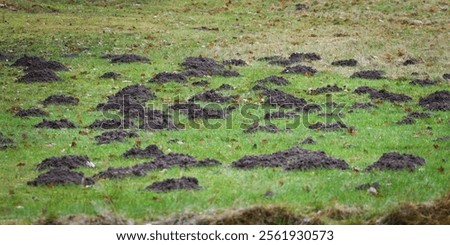 Image, Stock Photo Mole heap in a meadow