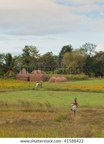 rural landscape of karnataka state india with a woman carrying water through fields towards traditional straw stacks with trees in the background