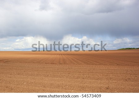 rain clouds over red soil texture and patterns of potato rows