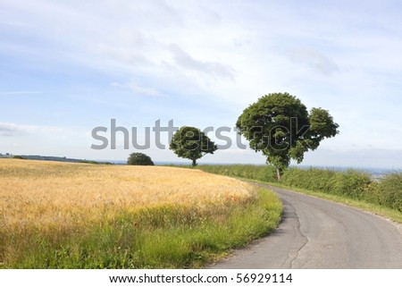 an english landscape with a bend in the road and trees overlooking fields under a blue sky