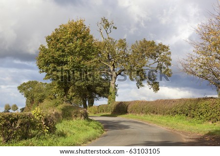 tree lined country road on a stormy autumn day in england