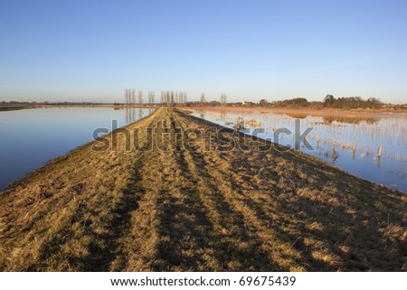 a flooded river bank with poplar trees and an old church on the horizon under a blue sky