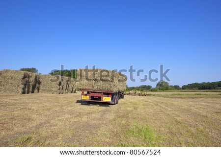 a summer landscape with a red trailer stacked with hay bales in a newly cut hay meadow under a blue sky