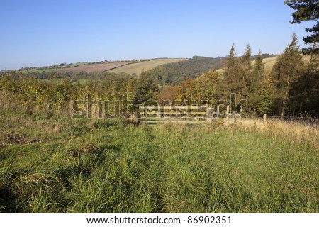 an autumn landscape with a traditional wooden five barred gate amongst rolling hills under a clear blue sky