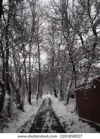 Similar – Image, Stock Photo Footpath in winter, always straight ahead, on the left of it a wooden fence, behind it bushes, on the right side of the path a brook bank. Falling snowflakes, in the distance trees can be seen in the mist.