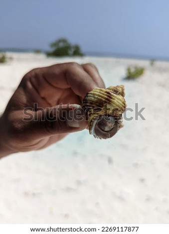 Similar – Foto Bild hey Schnecke