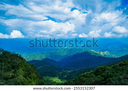 Similar – Image, Stock Photo Aerial perspective at a single tree and a crossing little river in a winter snowy top view.