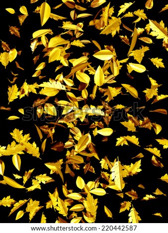 golden leaves fall down, time of golden october