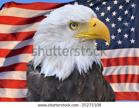 Bald Eagle Superimposed On United States Of America Flag, Stars And ...