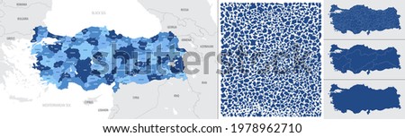 Detailed, vector, blue map of Turkey with administrative divisions country