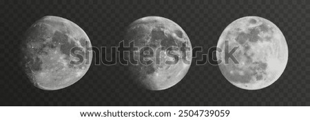 Set of realistic vector moon on an isolated transparent background. Moon vector png.