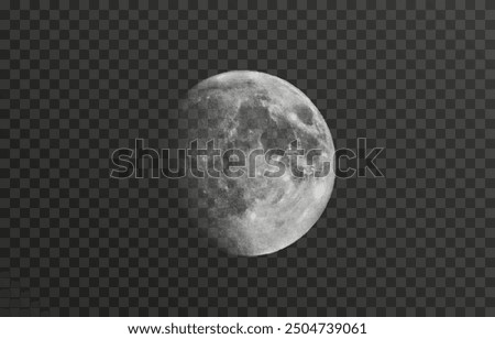 Realistic vector moon on an isolated transparent background. Moon vector png. Dark night with vector real moon.