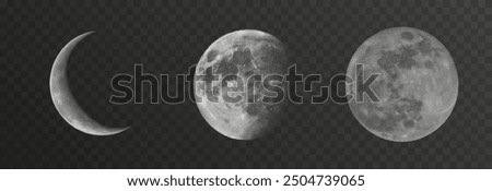 Set of realistic vector moon on an isolated transparent background. Moon vector png.