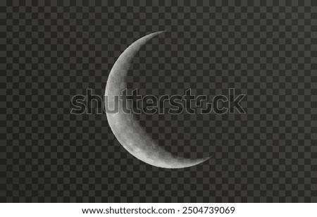 Realistic vector moon on an isolated transparent background. Moon vector png. Dark night with vector real moon.