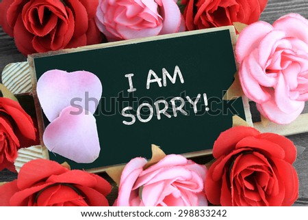 sign showing I am sorry message