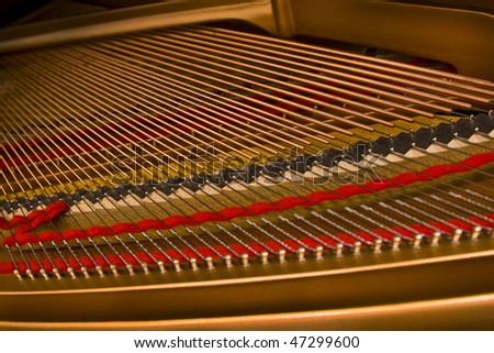 A Grande Piano\'s strings. The interior view of a very rare and expensive instrument.