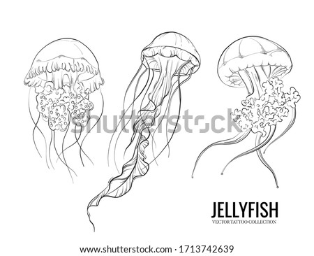 Shutterstock Puzzlepix