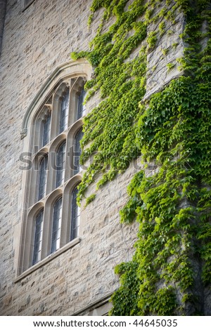 Close-up of an old university building, focus on an architectural window with ivy growing to its right side.  A slight vignette added.  University of Guelph, Guelph, Ontario, Canada